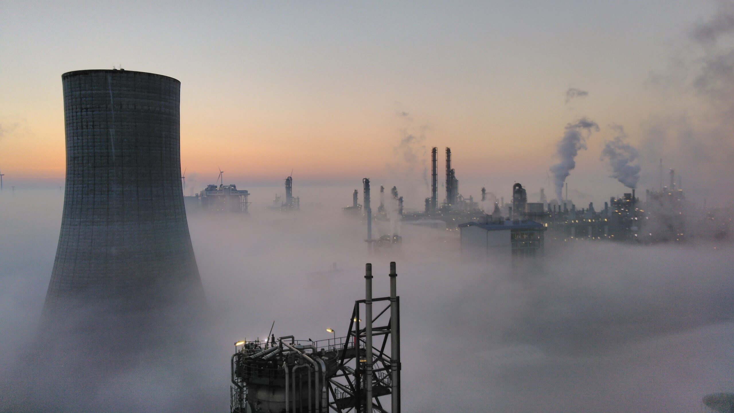 My Experience at BASF Antwerpen